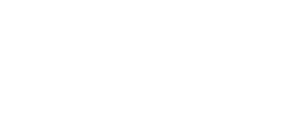 University Health Foundation logo