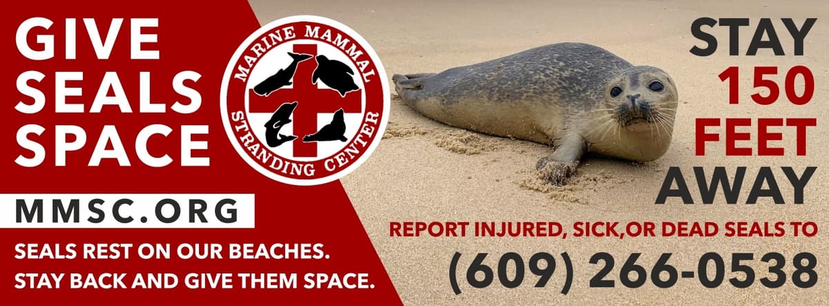Marine Mammal Stranding Center logo