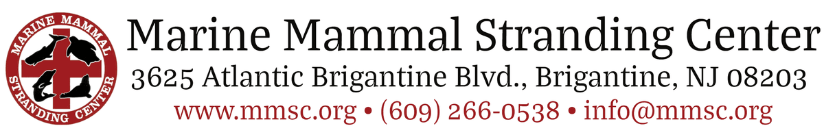 Marine Mammal Stranding Center logo