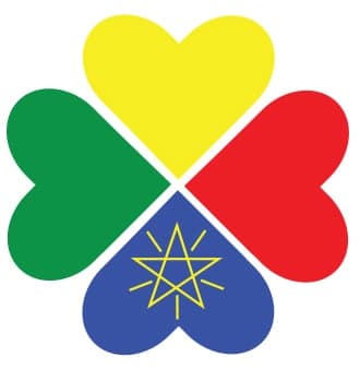 Project Heal Foundation, Inc. logo