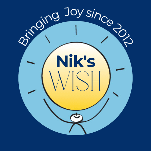 Nikolas Ritschel Foundation logo