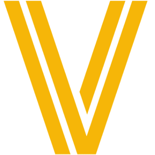 Black Visionaries Inc. logo