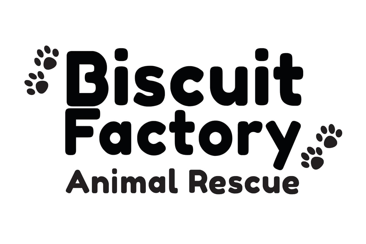 Biscuit Factory Animal Rescue Inc logo