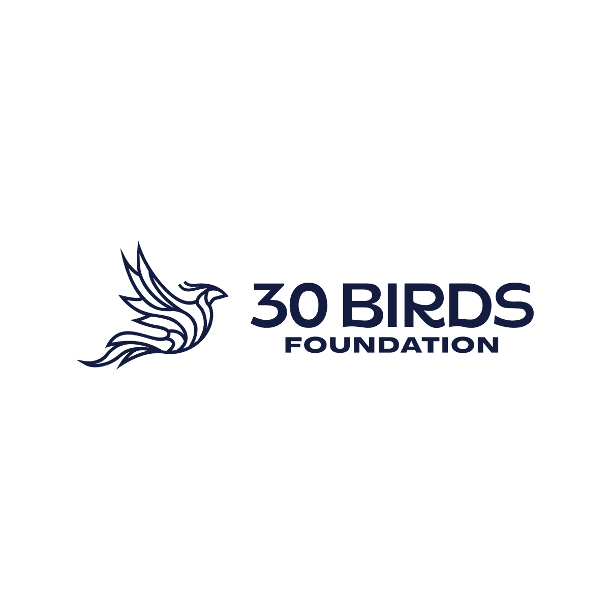 The 30 birds Foundation logo