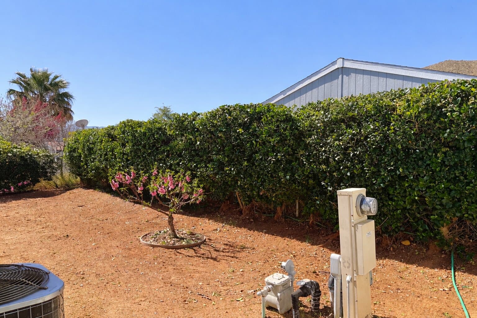 After photo:
Trimmed hedges with vegetation and debris cleared beneath them, improving defensible space and access around an Acton home.