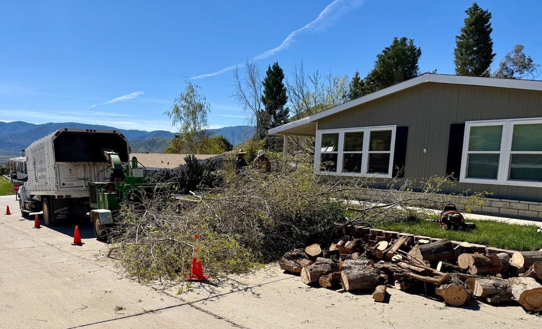 Tree branches and cut logs staged for removal beside a home during defensible-space work in Acton.