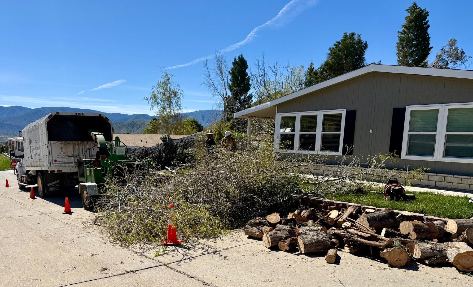 Tree branches and cut logs staged for removal beside a home during defensible-space work in Acton.