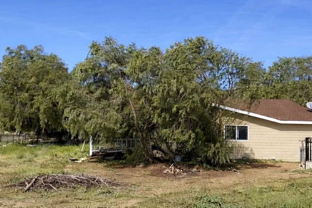 Acton Senior's home that is in urgent need of tree trimming.