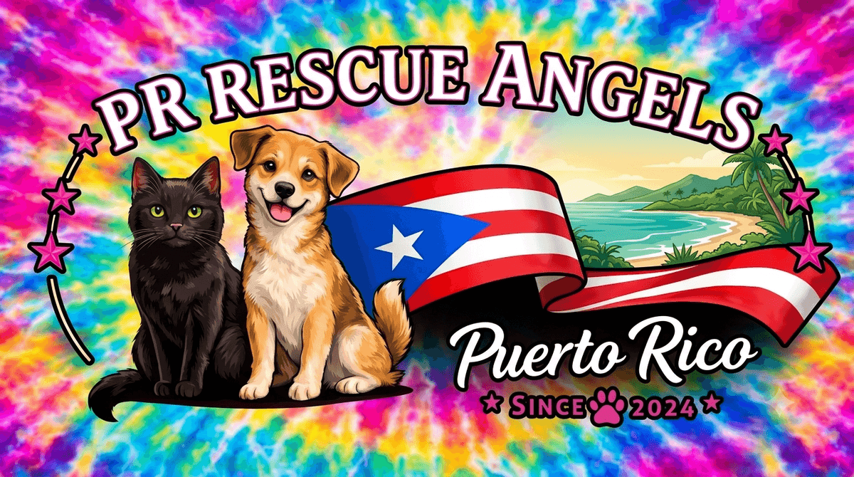 PR Rescue Angels logo