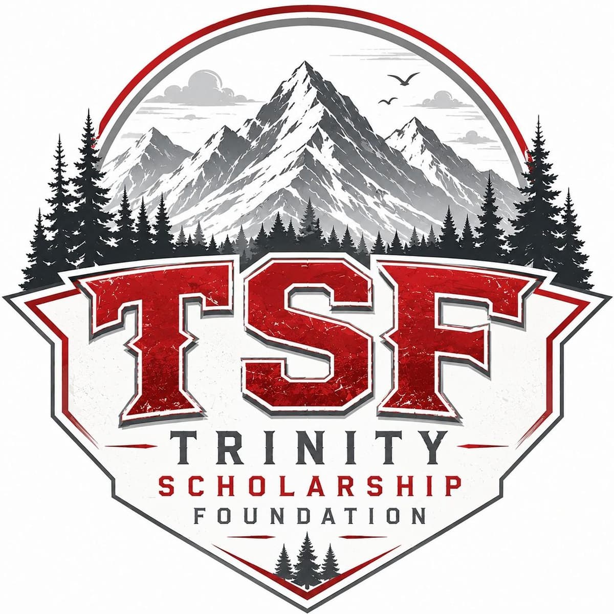 Trinity Scholarship Foundation logo