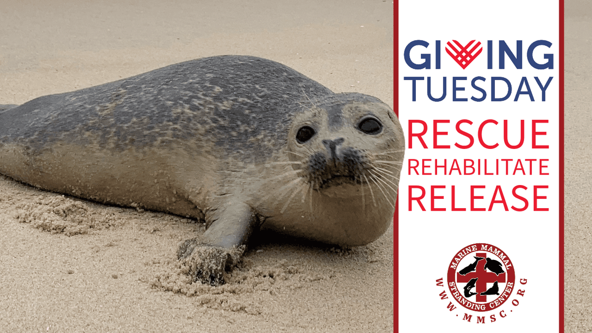 Marine Mammal Stranding Center logo