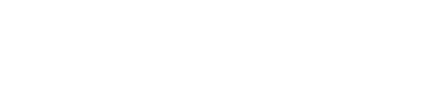 New Commonwealth Fund logo
