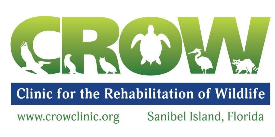 Clinic for the Rehabilitation of Wildlife (CROW) logo